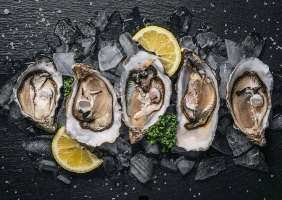 Oysters on the half shell at Borracho's